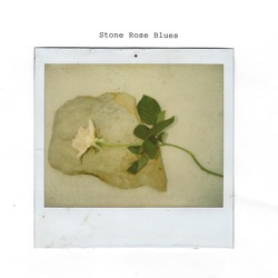 A ROSE ACROSS A STONE
